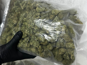 Голям удар! Разбиха наркобанда в Бургаско, иззета е марихуана за над 2 млн. евро<p style="font-size: 14px; color: red; margin-top: 8px; letter-spacing: 1px;">понеделник, 1 юни 2026, 14:40:22</p>
